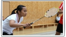 mega_badminton