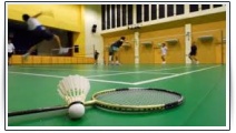 vs_liga_badminton