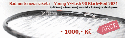 young_y-flash90_badminton